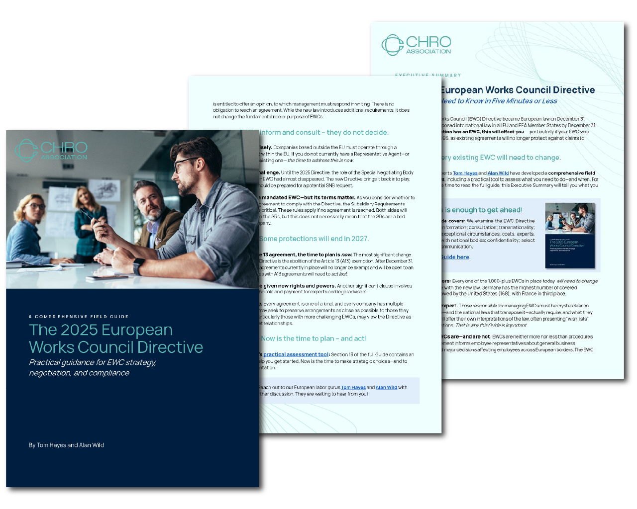 Thumbnail for The 2025 European Works Council Directive